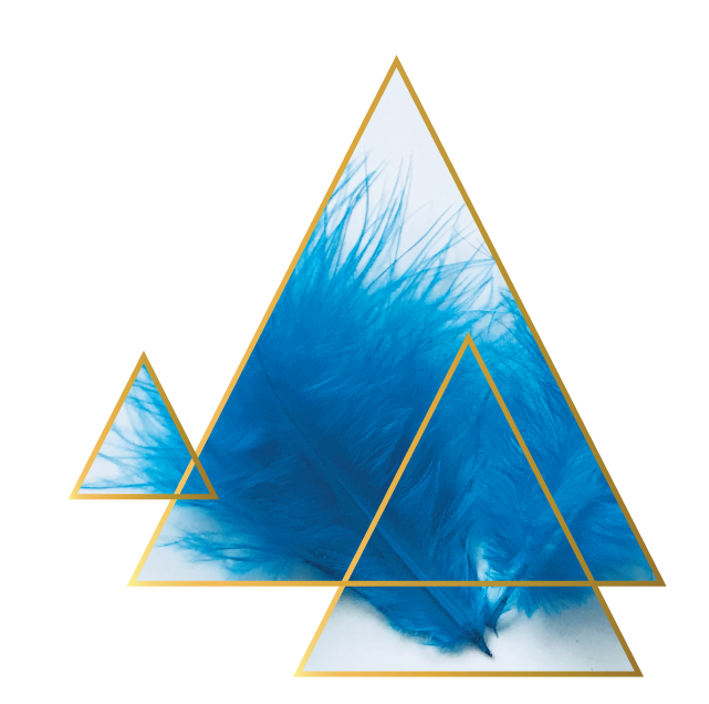 Energy Guide - Human Design